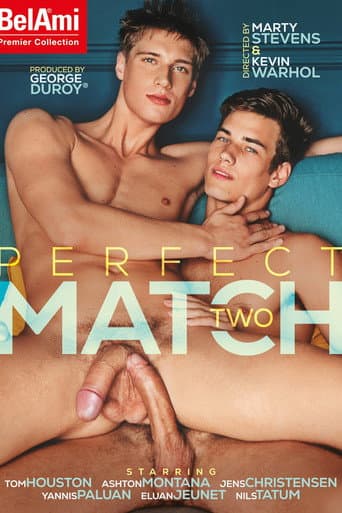 Perfect Match Two poster
